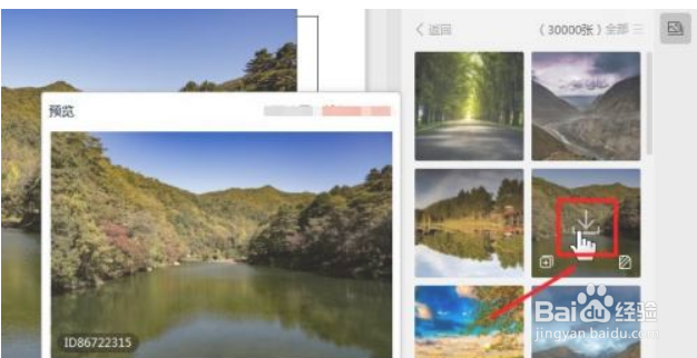 WPS PPT如何插入网络图片