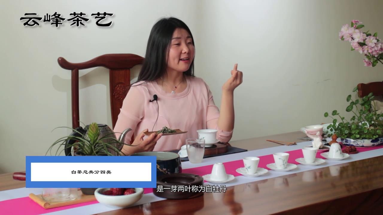 白茶应该怎样泡