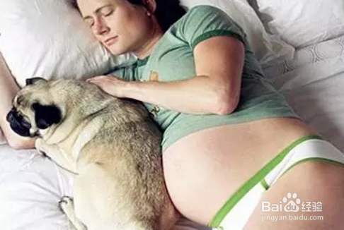 对很多养宠物家庭来说，怀孕了能不能养宠物？