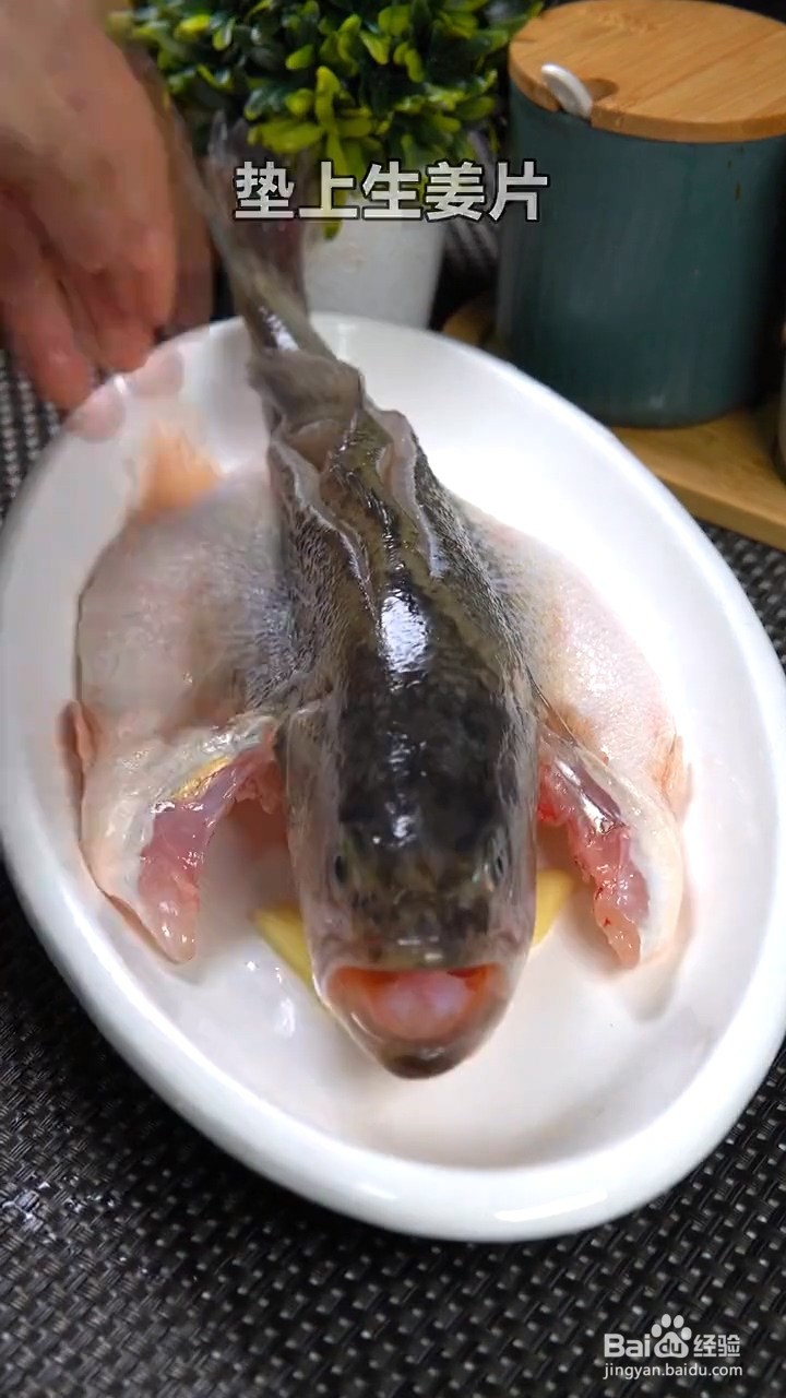 如何制作清蒸鲈鱼？