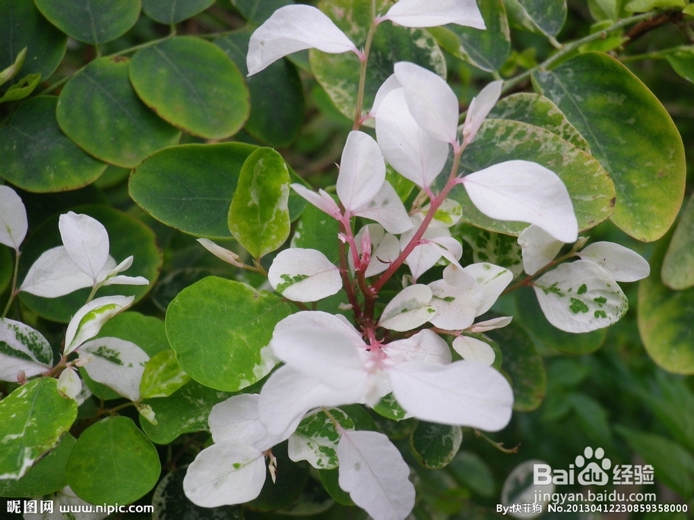 高一:从实验学化学