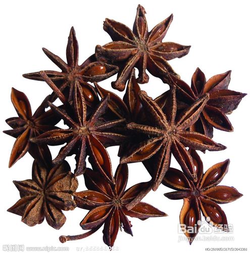 早泻的治疗方法