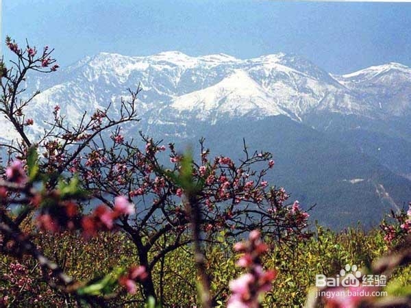 大理洱海旅游住宿攻略推荐！
