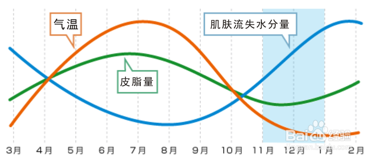 为什么说冬季血液循环差会导致皮肤新陈代谢差