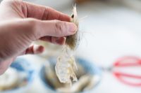 绝对好的下酒菜椒香脆虾壳