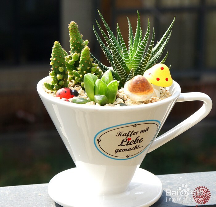 如何正确摆放盆栽