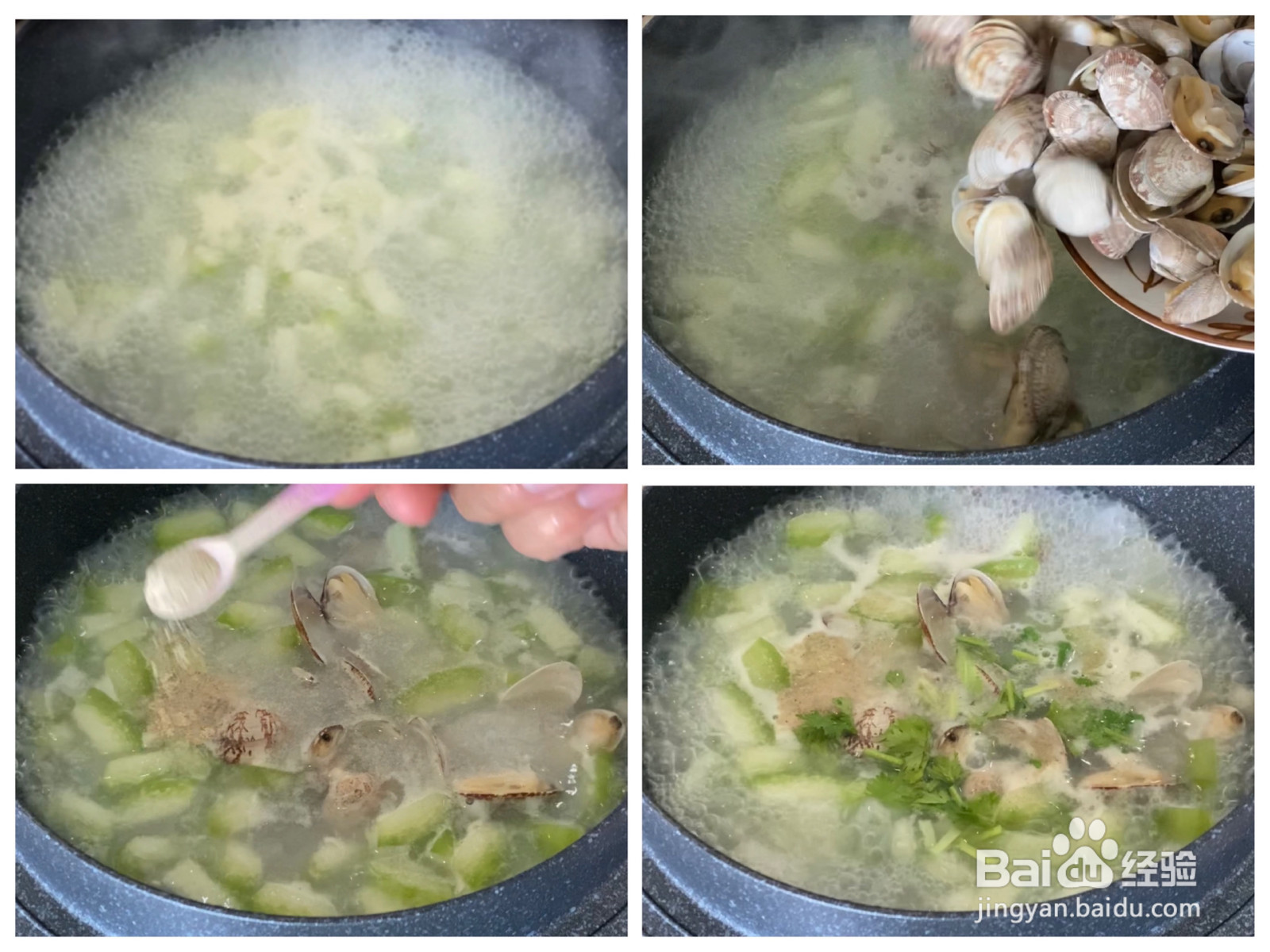冬瓜花蛤汤的做法
