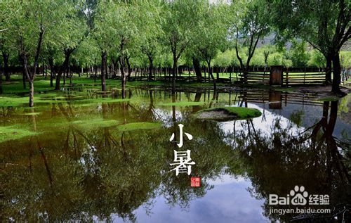 小暑节气到 预防中暑