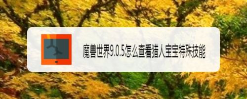魔兽世界9.0.5怎么查看猎人宝宝特殊技能