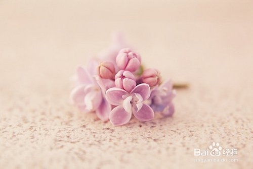 如何让员工甘心奉献