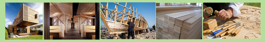 吉林种什么树好?