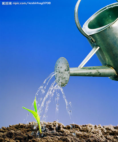 个人开公司流程