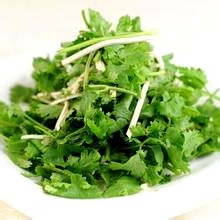 香菜的功效和营养价值