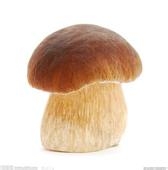 什么食物能让你越吃越健康，越吃越年轻