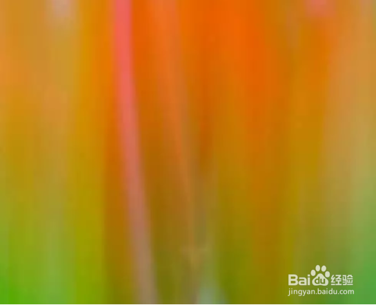 秋季如何拍出好照片？看完这篇文章你就全懂了！