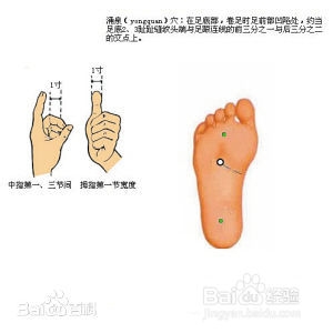 怎样补肾,怎样增强肾功能