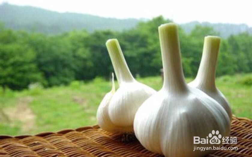 空着肚子不能吃哪些食物？