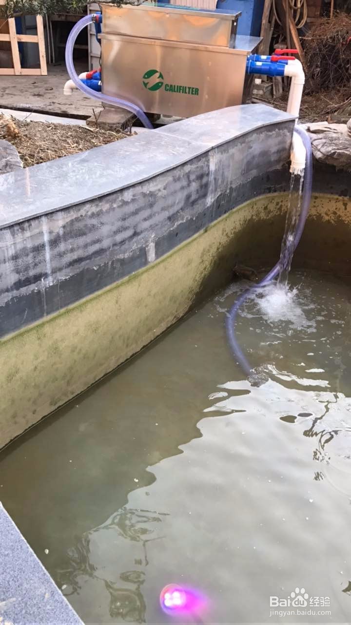 简单实用的鱼池过滤系统