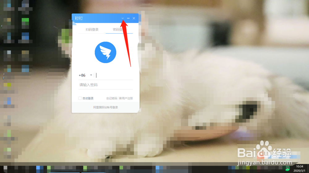 钉钉怎么设置代理上网
