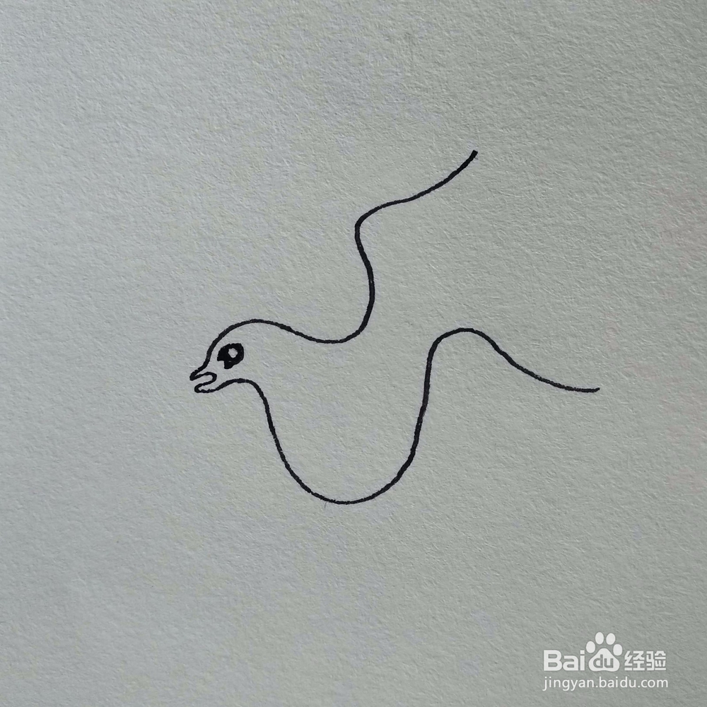 如何用线条画出一只小鸟平面构成创意画？