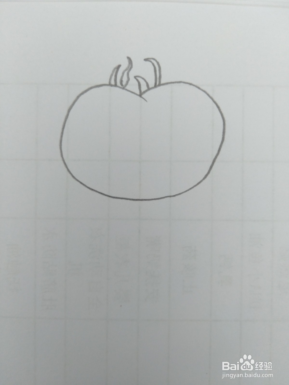 简笔画柿子画法三