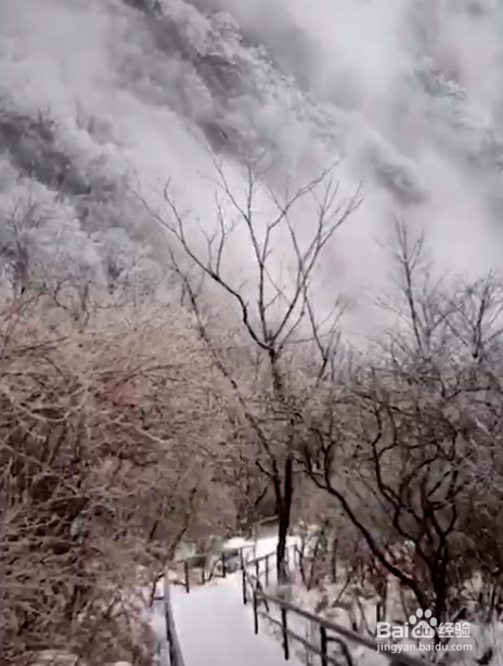 冬天,在国内应该去哪些地方看雪景?