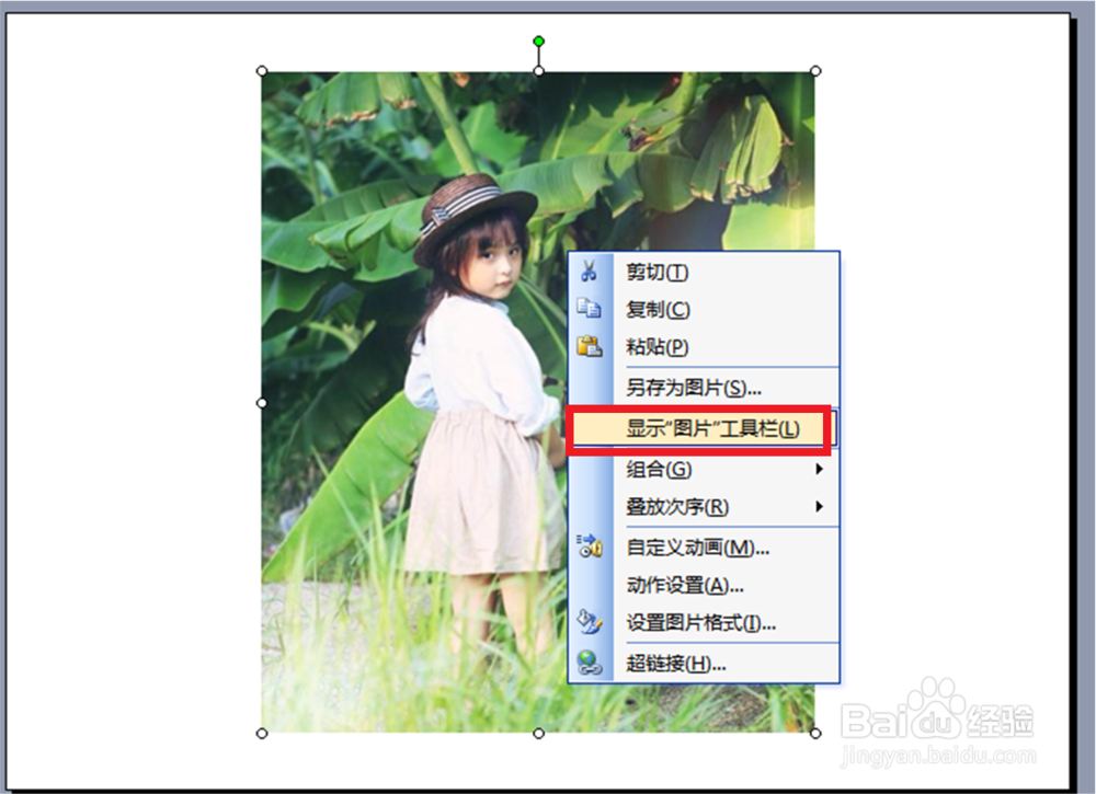 在2003ppt中，怎样调整图片的透明度？