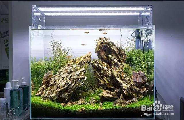 一米二草缸造景教程