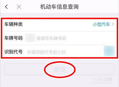 如何在手机里查询机动车信息