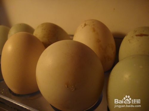 最安全的胶原蛋白 蕃茄炒鸡蛋 百度经验