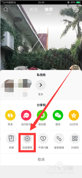 如何将抖音的小视频设置为手机动态壁纸