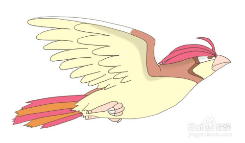 怎么画精灵宝可梦里的比比鸟