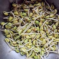 清淡素炒豆芽