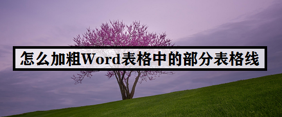 怎么加粗Word表格中的部分表格线