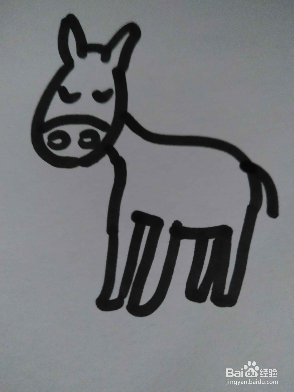 毛驴的简笔画技法15