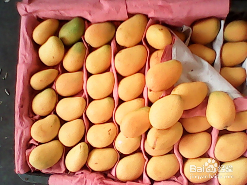 吃芒果会胖吗 芒果究竟是增肥还是减肥