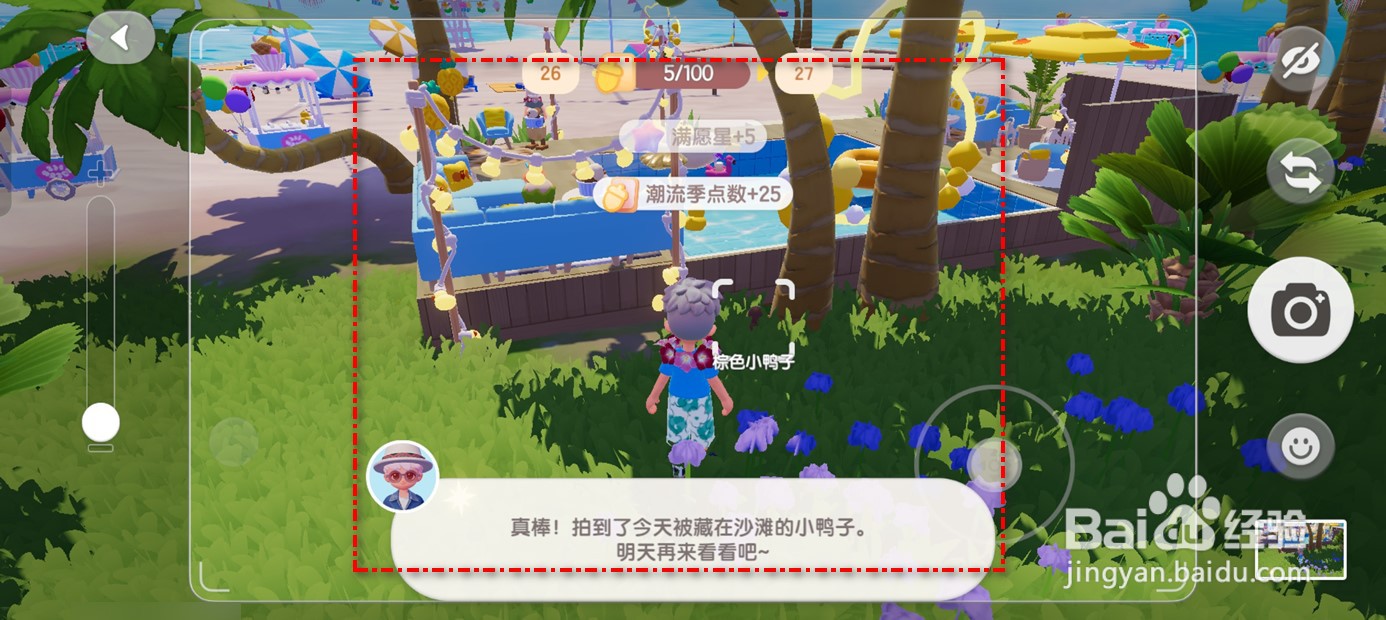 心动小镇在哪里可以拍到棕色小鸭子