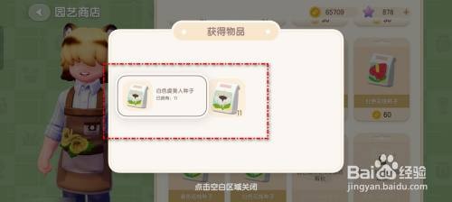 心动小镇白色虞美人种子获得的方法