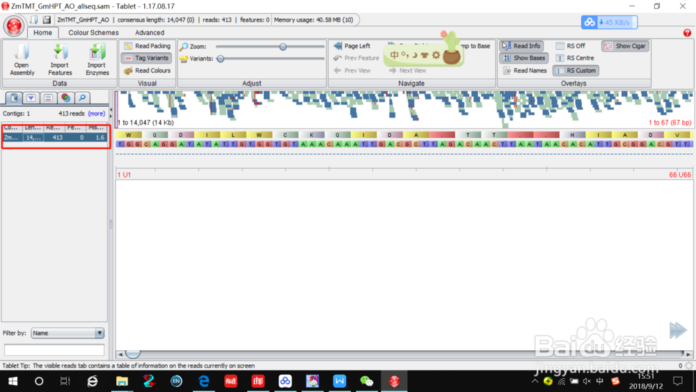 DNA重测序序列sam格式如何分析