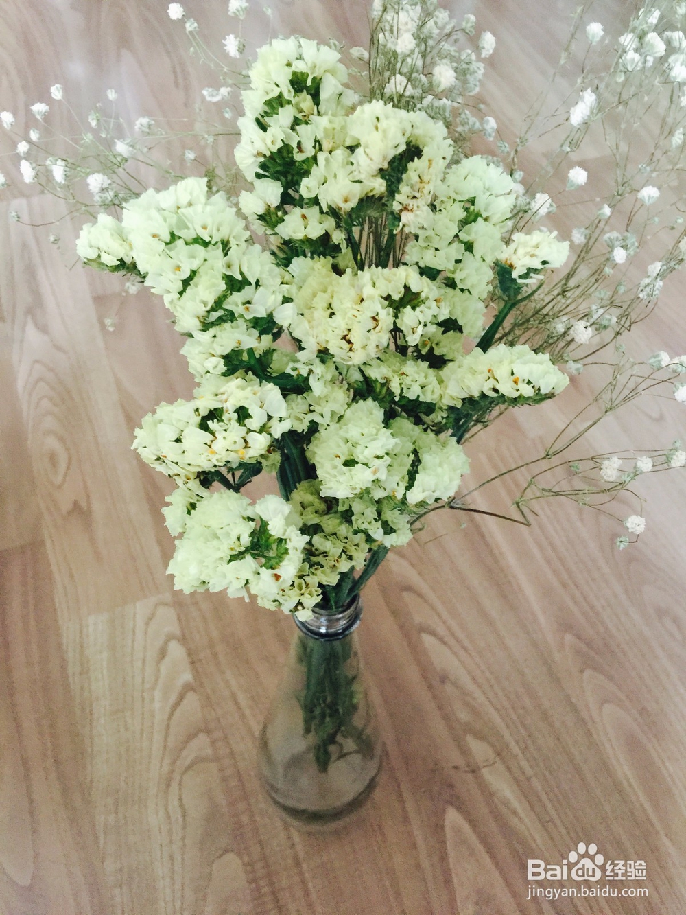 勿忘我干花花束速变瓶插花