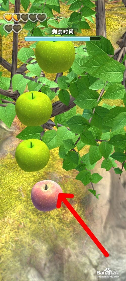 夺笋高手获得野苹果怎么做