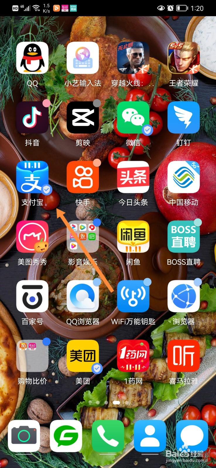 怎么查看自己支付宝月支出账单