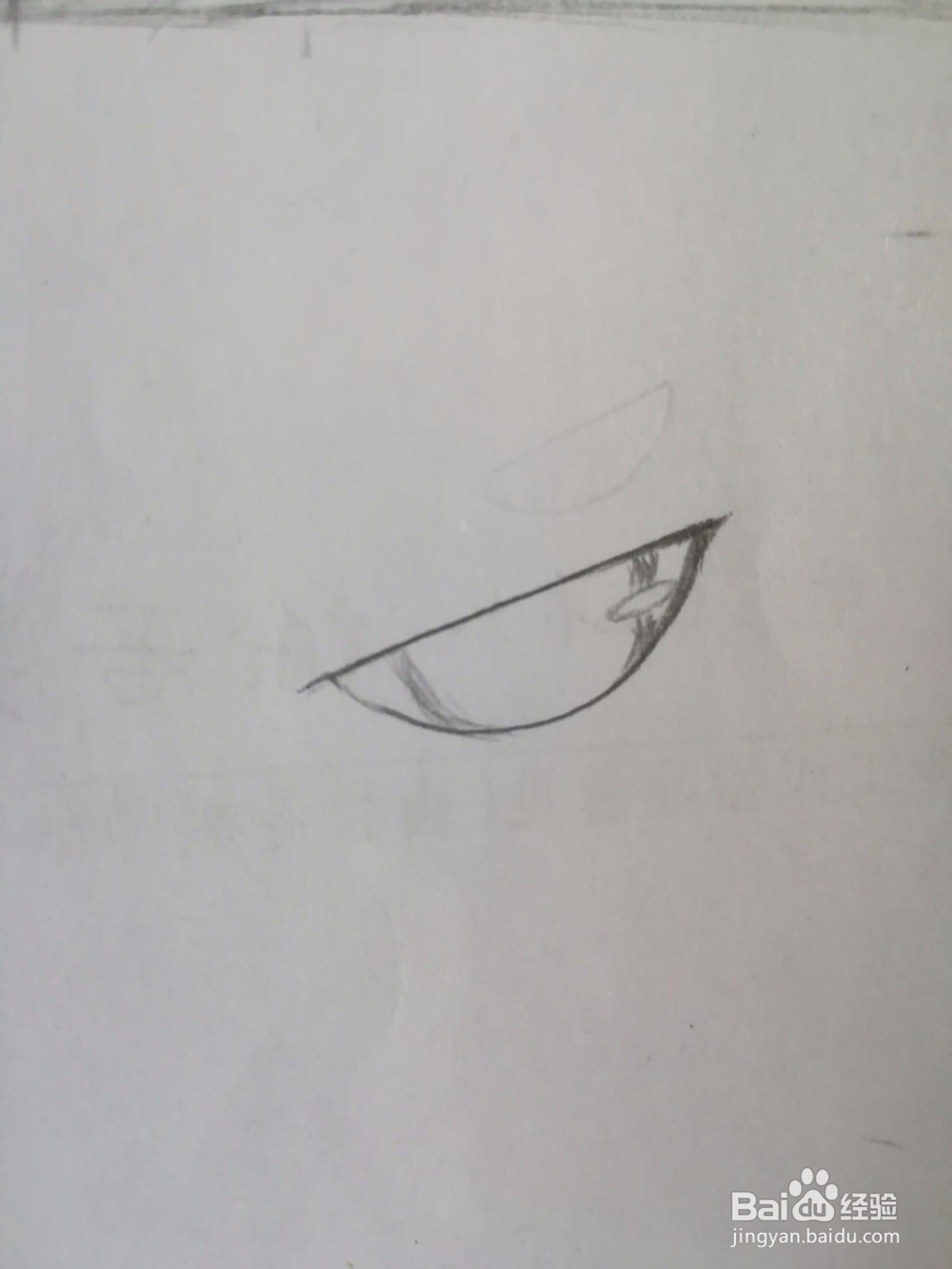 傲娇的小猫画法教程（2）——成型