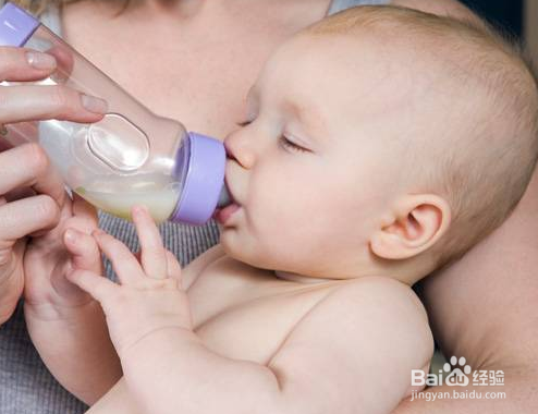 人工喂养的注意事项?