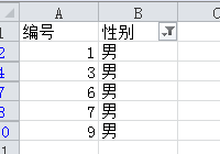 Excel常用技巧：[6]如何启用筛选功能