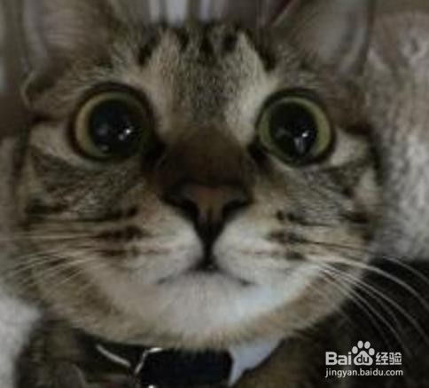 消化性溃疡患者住院情况是怎样的