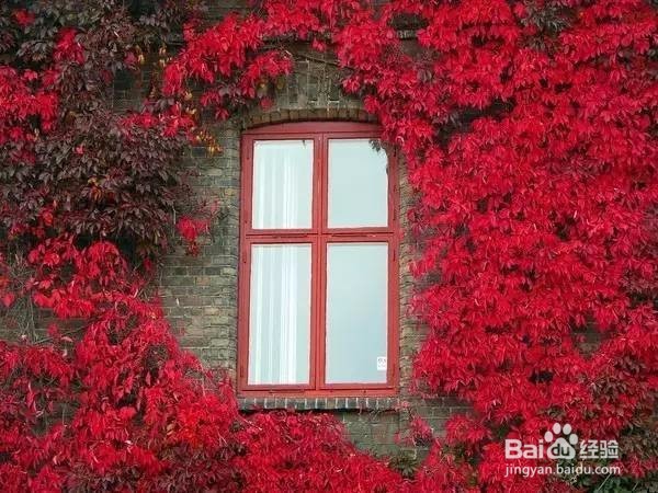 让男友宠你的小妙招