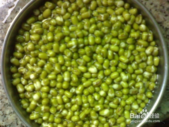 小米的豆芽日记