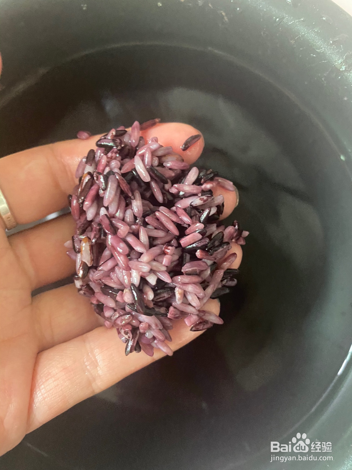 紫米肉松麻薯盒子蛋糕的做法