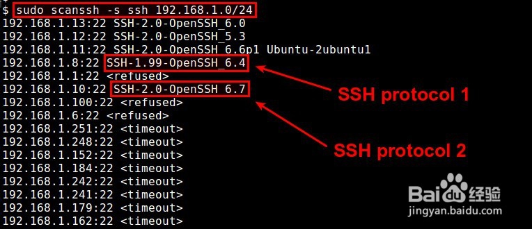 如何在Linux上检查SSH的版本